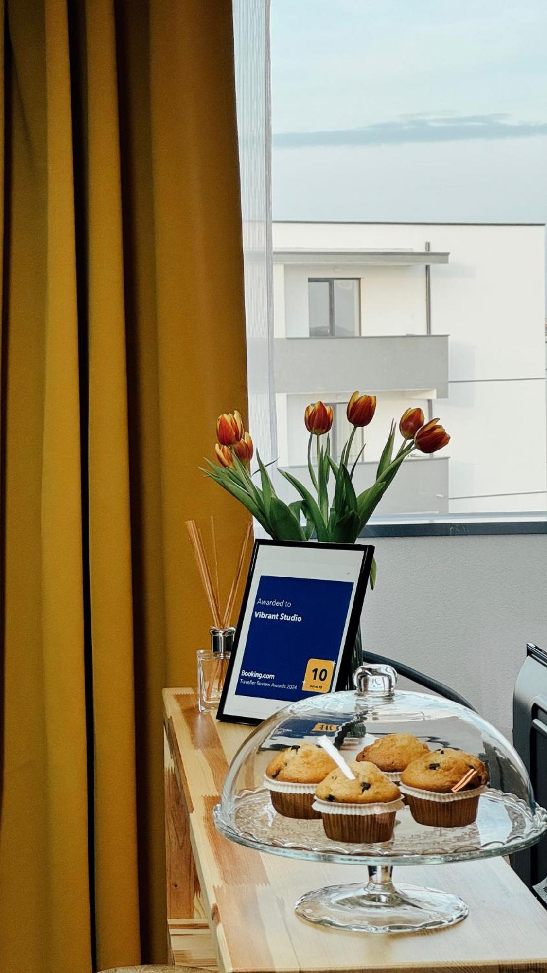 Vibrant Studio Timişoara Eksteriør billede